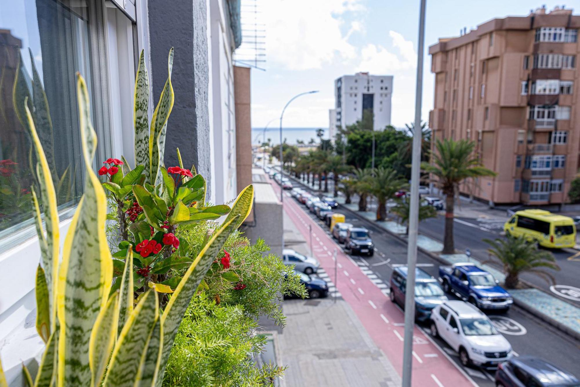 Bambu Suites Vegueta Alquiler Por Habitacion Las Palmas de Gran Canaria Eksteriør billede