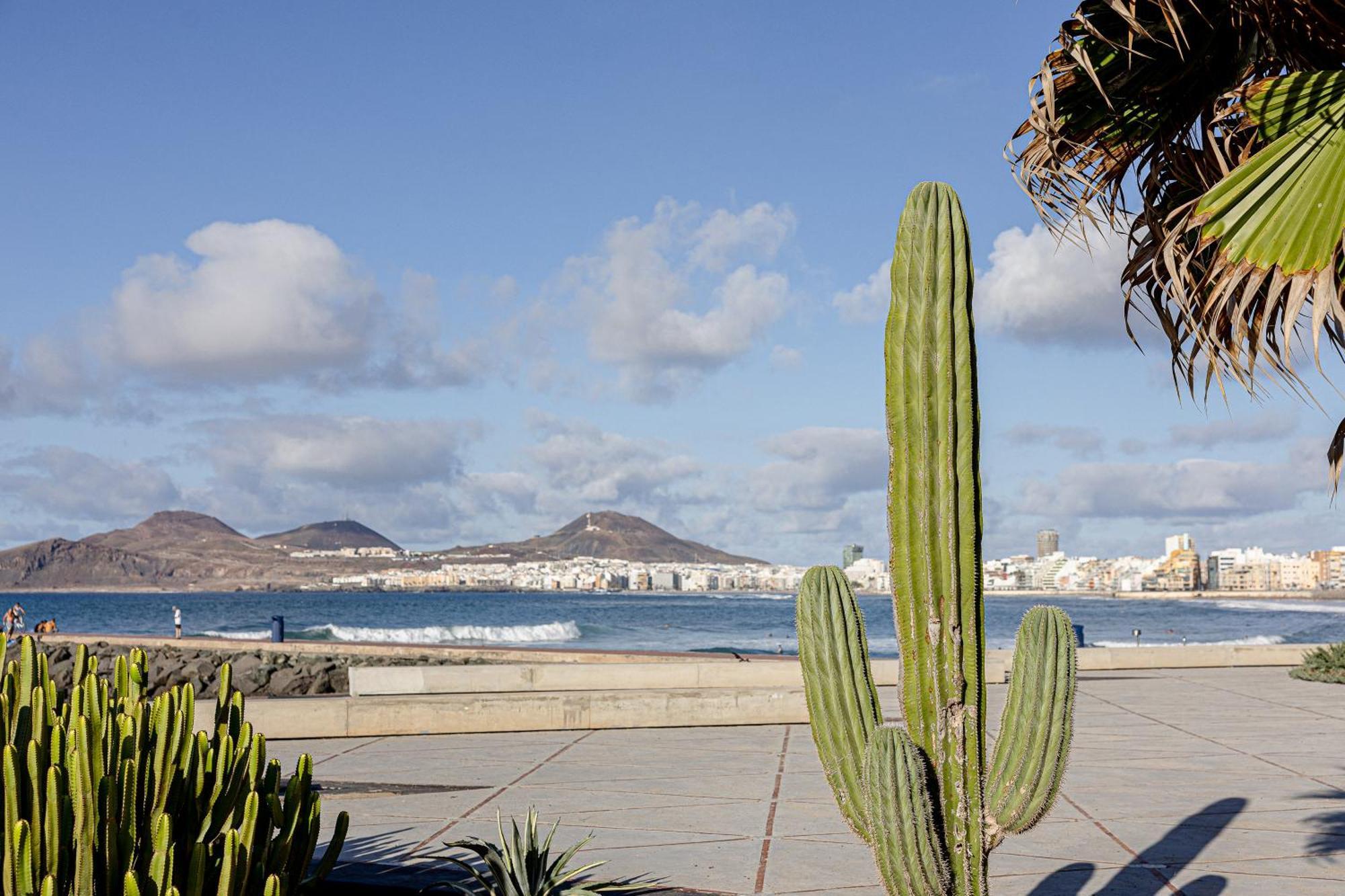 Bambu Suites Vegueta Alquiler Por Habitacion Las Palmas de Gran Canaria Eksteriør billede