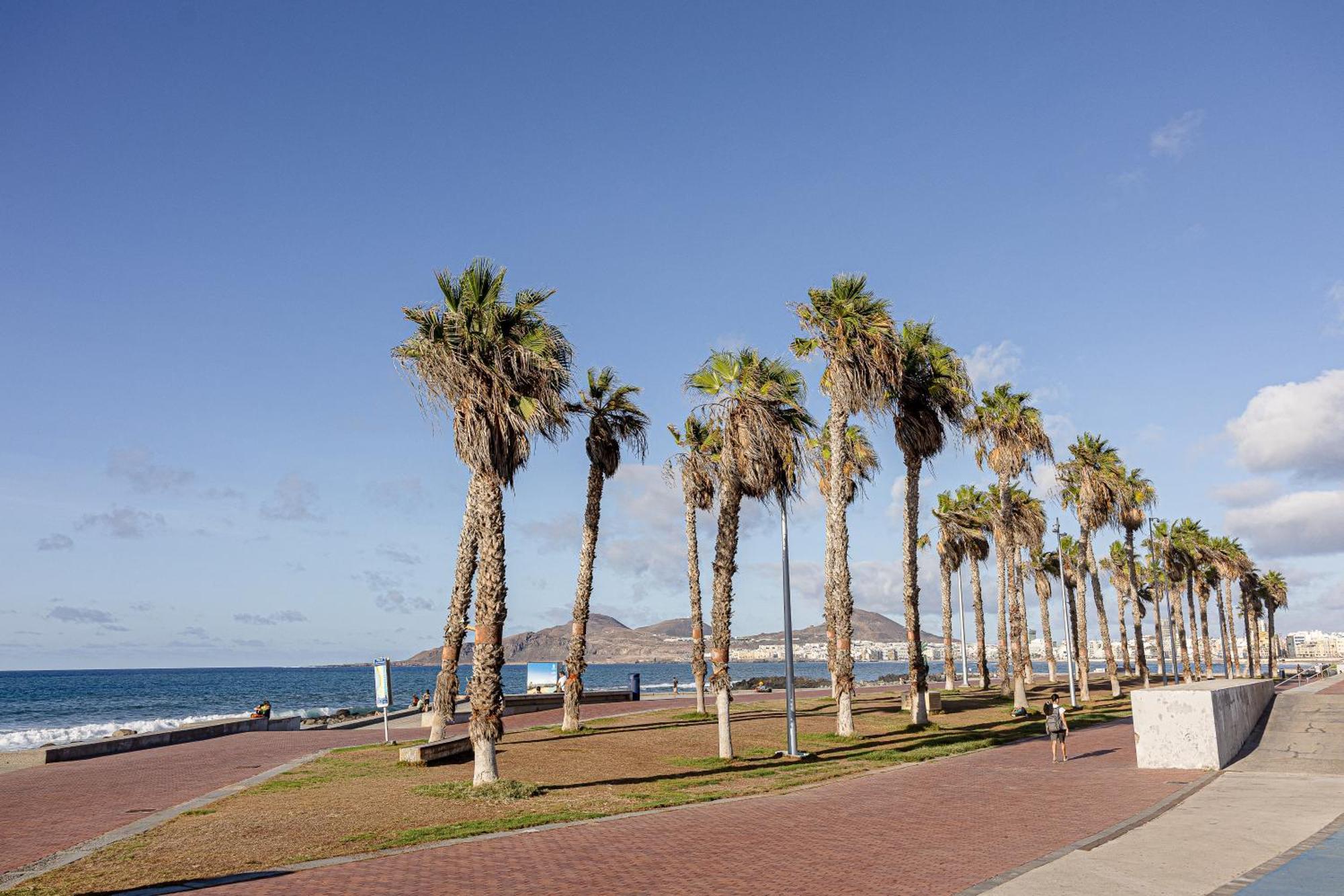Bambu Suites Vegueta Alquiler Por Habitacion Las Palmas de Gran Canaria Eksteriør billede